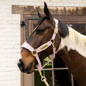 Kentucky Horsewear Velvet Head Collar 42558-
