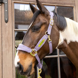 Kentucky Horsewear Velvet Head Collar 42558-