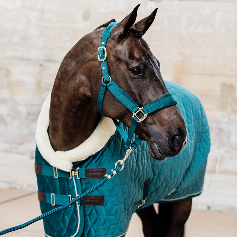 Kentucky Velvet Show Rug – Emerald – Discontinued 6 Kentucky Velvet Show Rug – Emerald – Discontinued - Image 6