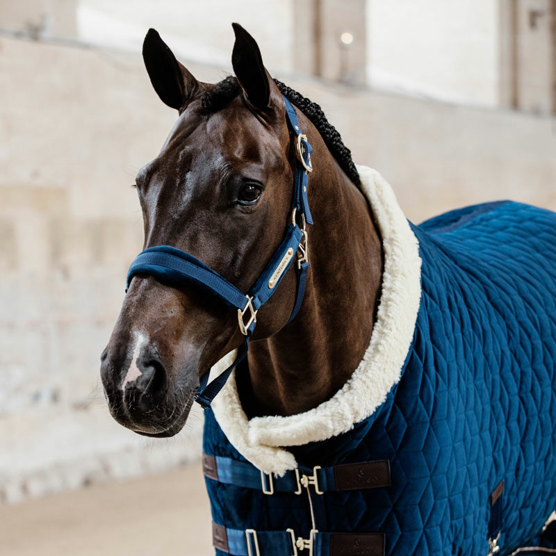 Kentucky Horsewear Velvet Head Collar - Image 7