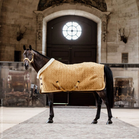 Kentucky Velvet Show Rug - Mustard - Discontinued