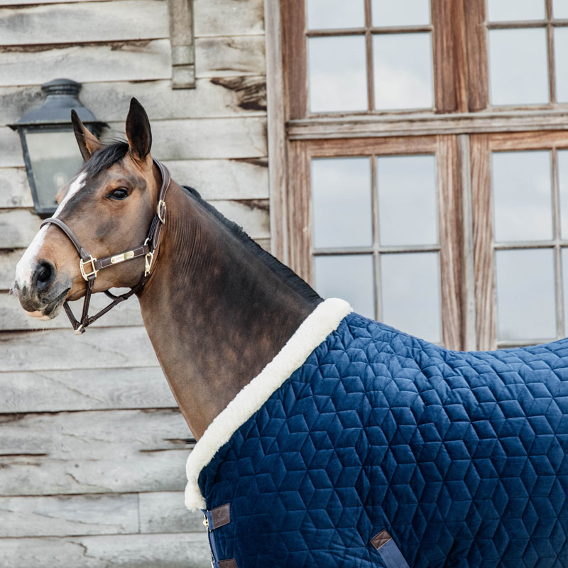 Kentucky Horsewear Velvet Show Rug 7 Kentucky Horsewear Velvet Show Rug - Image 7