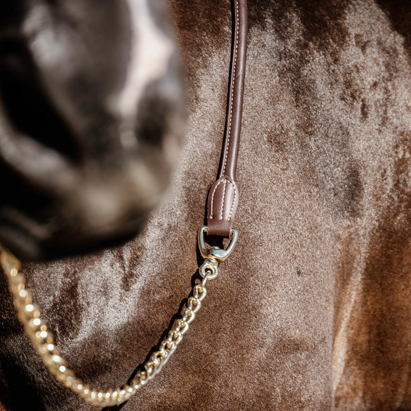 Leather Lead Chain Brown 1