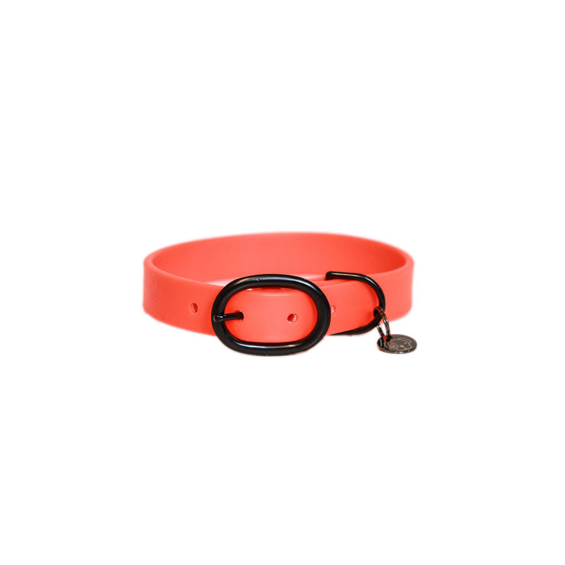 Kentucky Dogwear Soft Rubber Dog Collars 3 Kentucky Dogwear Soft Rubber Dog Collars - Image 3