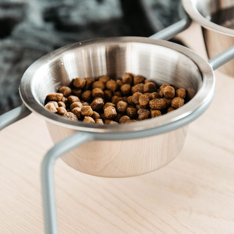 Kentucky Dogwear Dog Bowl Comfort Feeder 6 Kentucky Dogwear Dog Bowl Comfort Feeder - Image 6