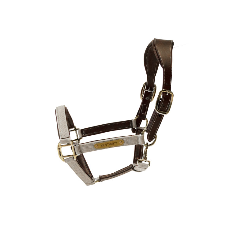 Kentucky Horsewear Anatomic Nylon Head Collar 6 Kentucky Horsewear Anatomic Nylon Head Collar - Image 6