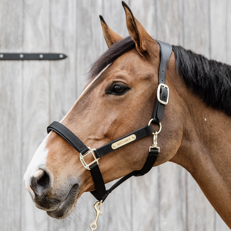 Kentucky Horsewear Anatomic Nylon Head Collar 1 Kentucky Horsewear Anatomic Nylon Head Collar Black 1