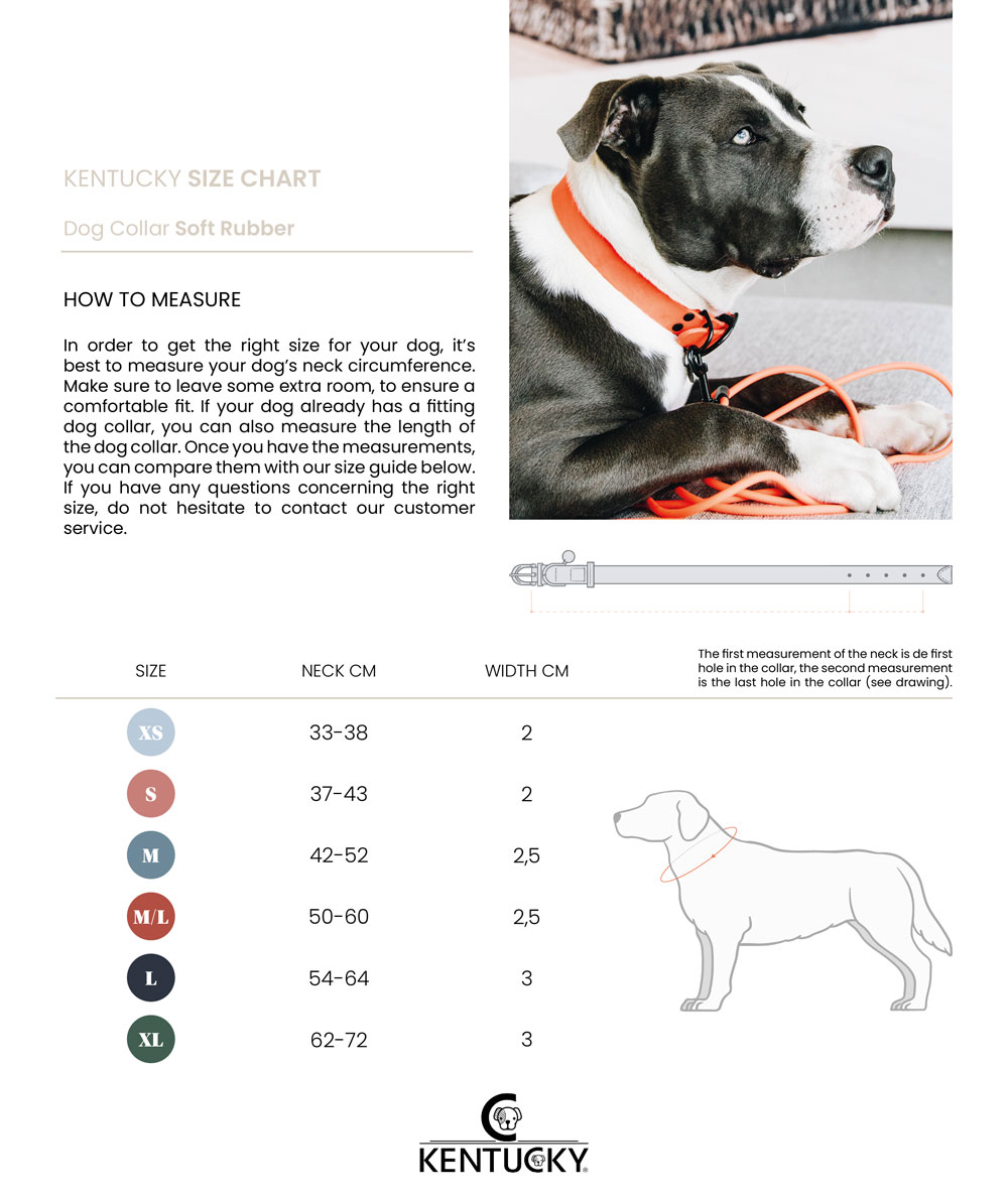 Kentucky Dogwear Soft Rubber Dog Collars 4 Kentucky Dogwear Soft Rubber Dog Collars - Image 4