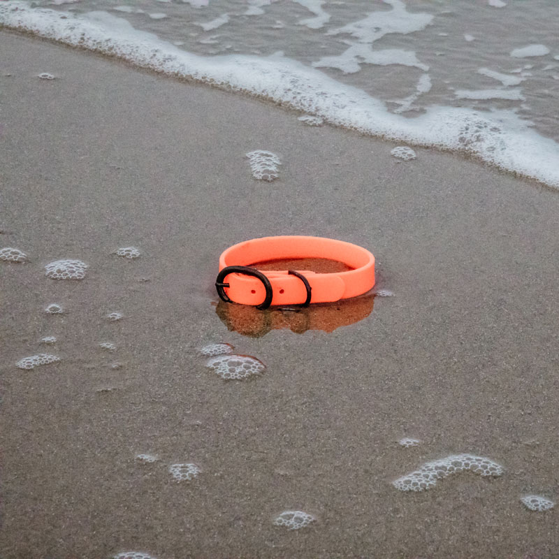 Kentucky Dogwear Soft Rubber Dog Collars 10 Kentucky Dogwear Soft Rubber Dog Collars - Image 10