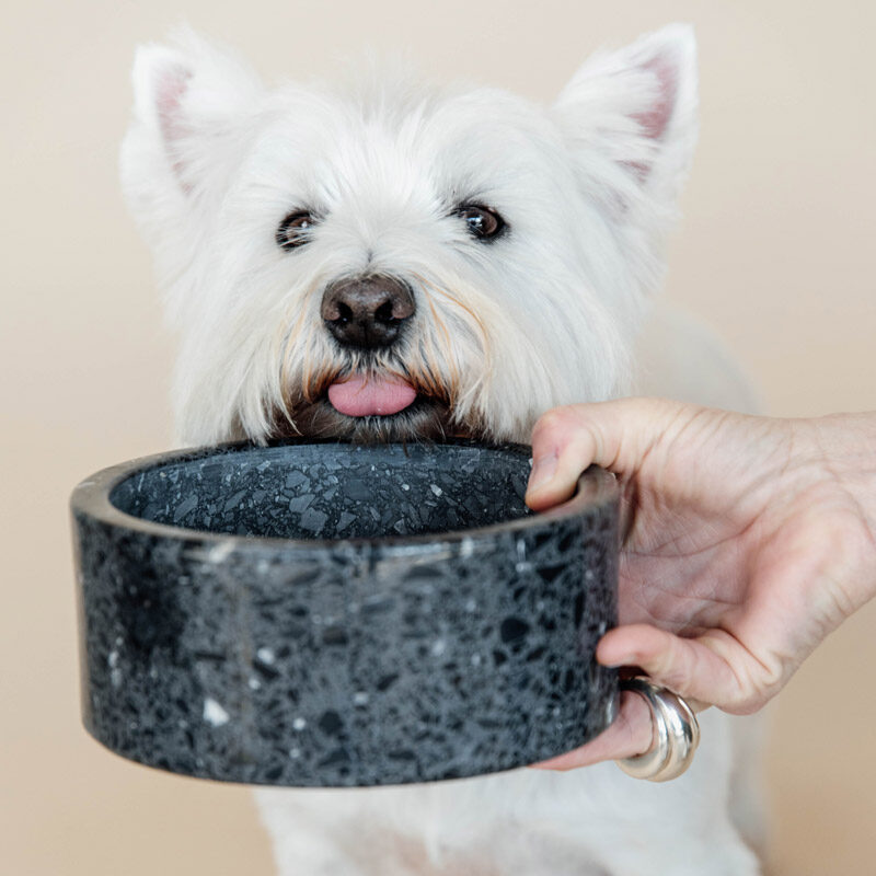 Kentucky Dogwear Stone Terrazzo Dog Bowl - Image 2