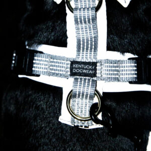Kentucky Dogwear Reflective Dog Harness 2