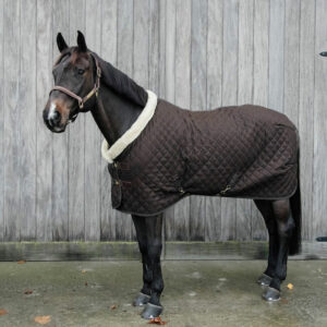 Kentucky Horsewear Show Rug - Discontinued - Brown