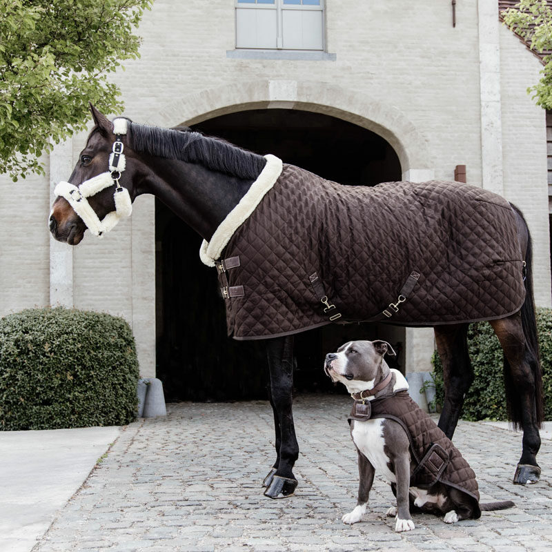 Kentucky Horsewear Show Rug - Image 11