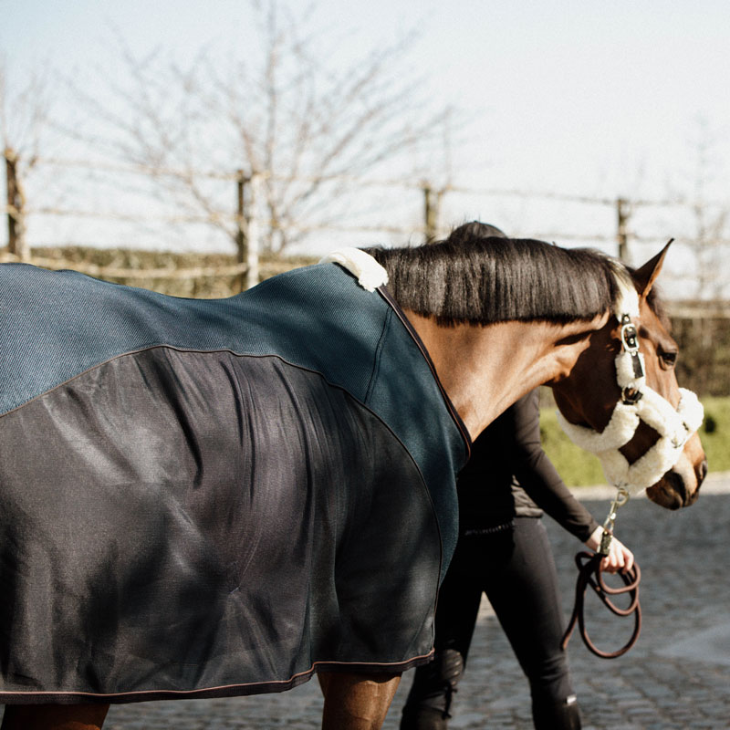 Kentucky Horsewear Mesh Combo Cooler Sheet 5 Kentucky Horsewear Mesh Combo Cooler Sheet - Image 5