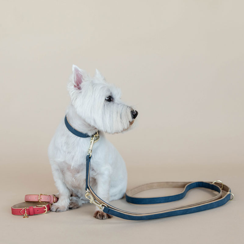 Kentucky Dogwear Soft Vegan Leather Dog Lead 5 Kentucky Dogwear Soft Vegan Leather Dog Lead - Image 5