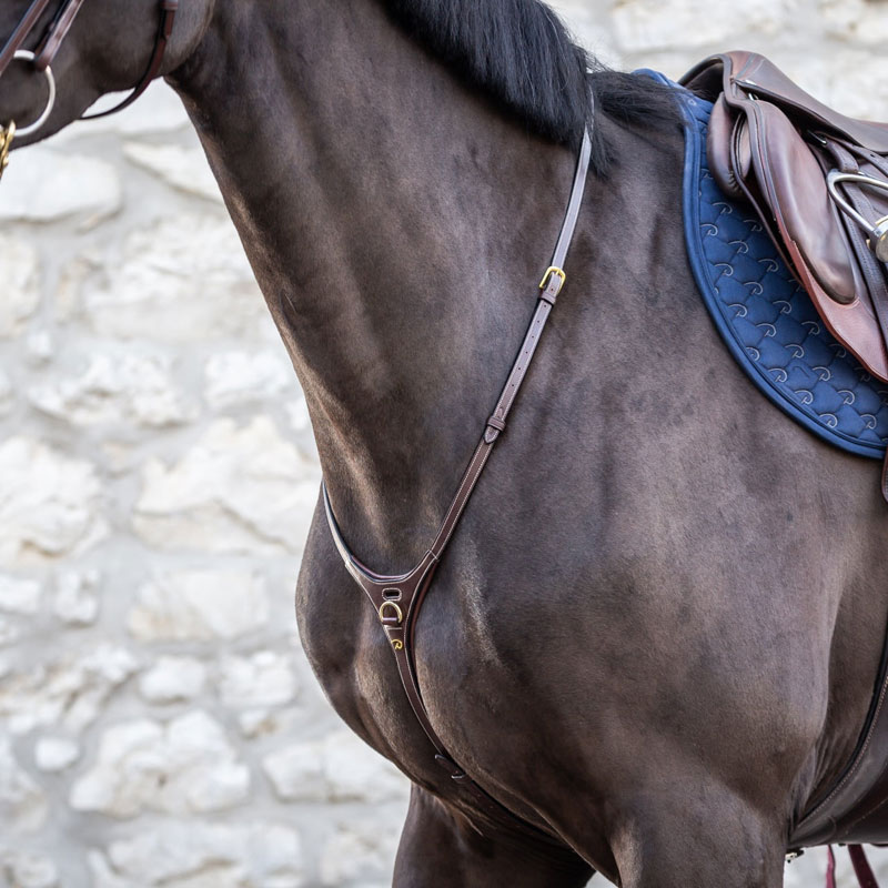 Dy'on Collection Yoke Martingale 1 Dy'on Collection Yoke Martingale