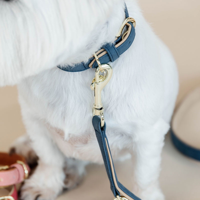 Kentucky Dogwear Soft Vegan Leather Dog Lead 1 Kentucky Dogwear Soft Vegan Leather Dog Lead