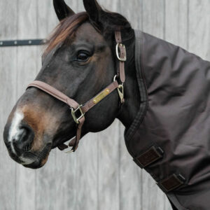 Turnout Rug Pro Neck Cover 150g - Brown 2