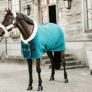 Velvet Show Rug Emerald Banner.jpg