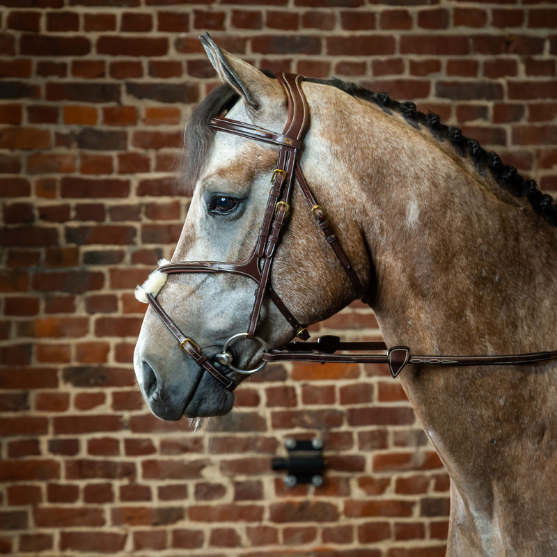 Dy'on Collection Bridle with Grackle Noseband 1 Dy'on Collection Bridle with Grackle Noseband