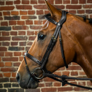 Dy'on Collection Flash Noseband Bridle Black 1