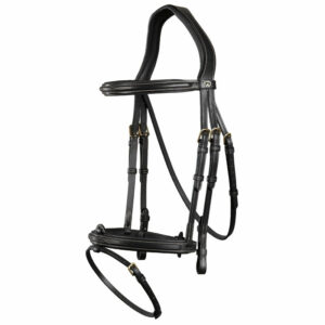 Dy'on Collection Flash Noseband Bridle Black