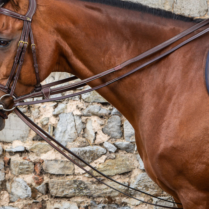 Dy'on Collection Leather Draw Reins 1 Dy’on Collection Full Leather Draw Reins Brown