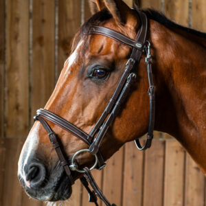 Dy’on Working Collection Fancy Flash Noseband Bridle Brown