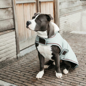 Kentucky Dogwear Waterproof Dog Coat Dusty Blue Large