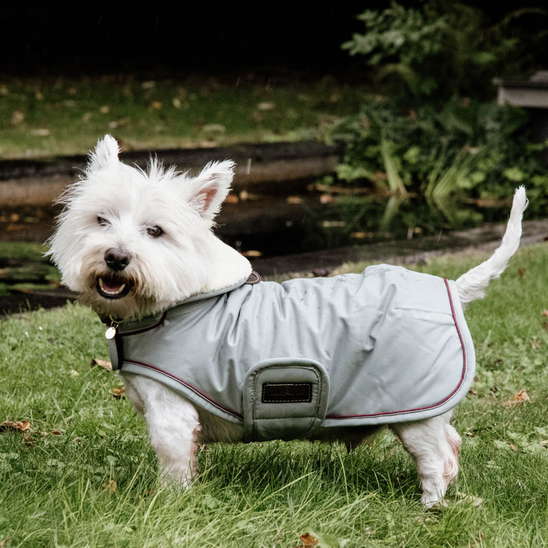 Kentucky Dogwear Waterproof Dog Coat 160g 2 Kentucky Dogwear Waterproof Dog Coat Dusty Blue Yorkshire Terrier