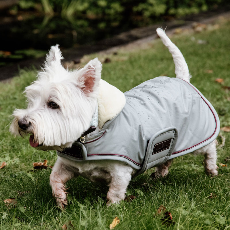 Kentucky Dogwear Waterproof Dog Coat 160g 6 Kentucky Dogwear Waterproof Dog Coat Dusty Blue Yorky