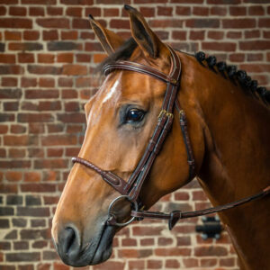 Dy'on-Leather-Covered-Rope-Bridle