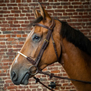 Dy'on Collection Rope Noseband Bridle Brown On Horse