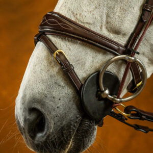 Anatomic Flash Noseband