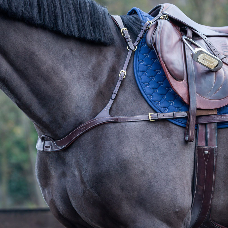 Dy’on Collection Anatomic Breastplate 3 Dy’on Collection Anatomic Breastplate - Image 3