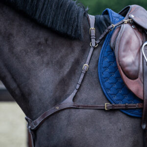 Dy’on Collection Anatomic Breastplate