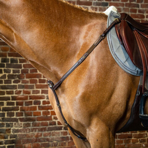 Dy’on Collection Breastplate