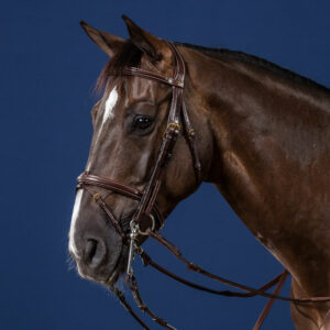 Dy'on-Collection-Flash-Noseband-Double-Bridle