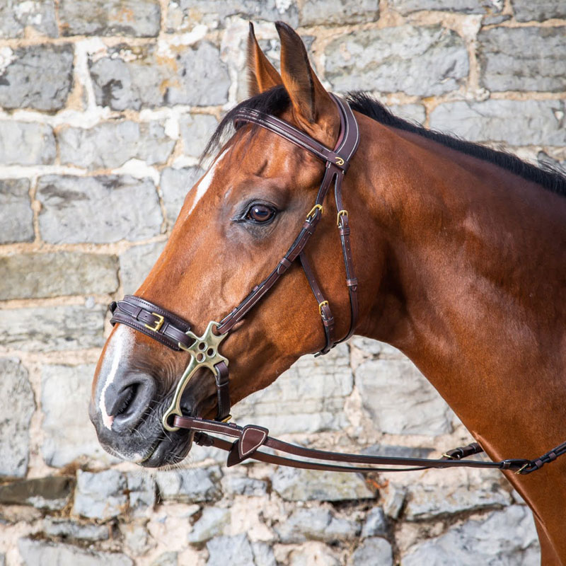 Dy'on Collection Hackamore Bridle 1 Dy'on-Collection-Hackamore-Bridle