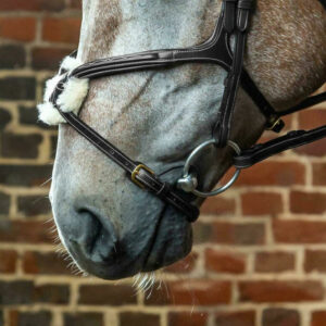 Dyon-Fig-8-Noseband-ONLY-Black-1