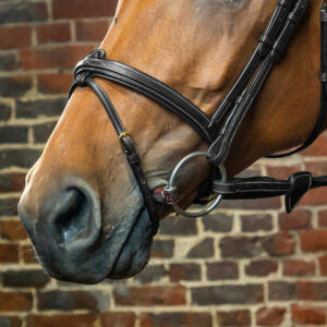 Dyon-Flash-Noseband-ONLY-Black-1