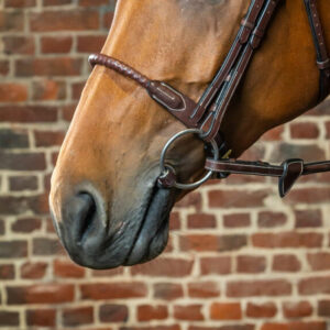 Dy’on Collection Leather Covered Rope Noseband