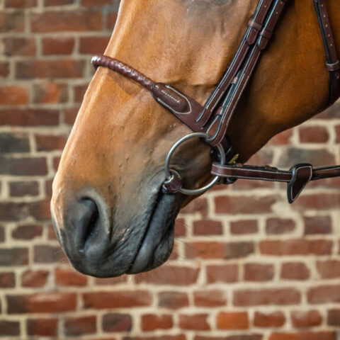 Dy’on Collection Leather Covered Rope Noseband