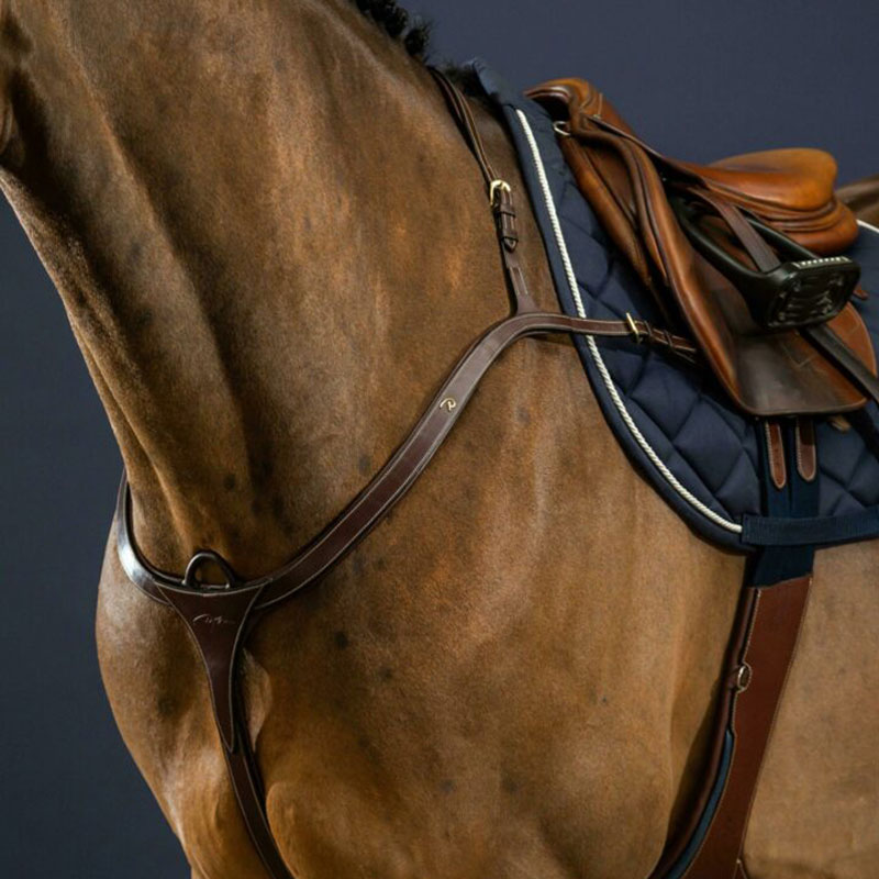 Dy’on Collection Long Bridge Breastplate 1 Dy’on Collection Long Bridge Breastplate