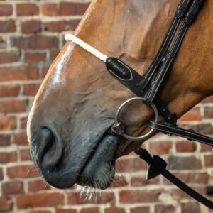 Dyon-Rope-Noseband-2