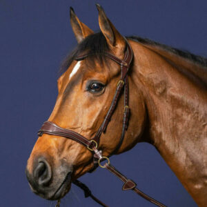 Dy'on-collection-D-Motion-Bridle-2