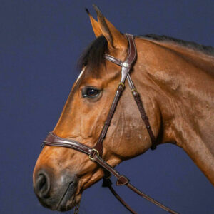 Dy'on-collection-D-Motion-Bridle-3