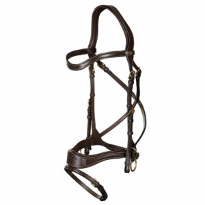 Dy'on-collection-D-Motion-Bridle