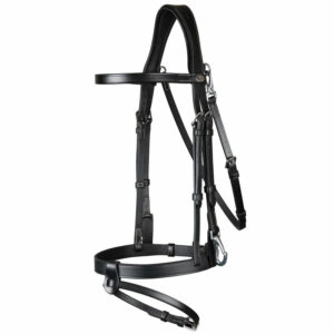 Flat-Leather-Bridle-With-Snap-Hooks-Black