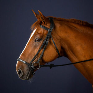 Drop-Noseband-Bridle-1